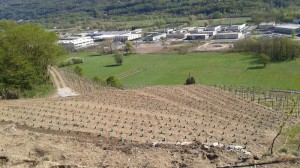 Azienda Agricola Folini