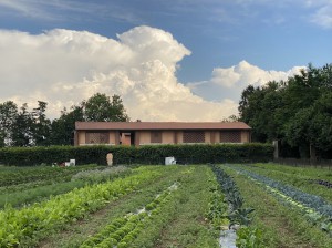 Agriturismo La Forestina