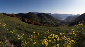 Agriturismo dedine