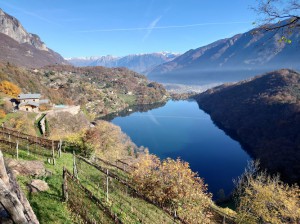 Azienda Agricola Scraleca Di Tedeschi Valentina