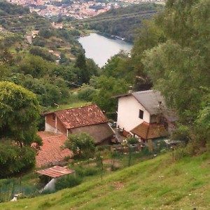 azienda agricola Paros