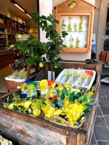 Enoteca di limongarda srl