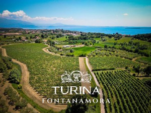 Turina Vini