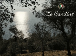 Le Gandine - Azienda Agricola Samuele Sambusida