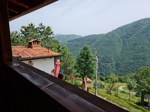 Agriturismo Belvedere