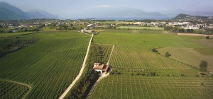 Azienda Agricola Biologica L`Ulif