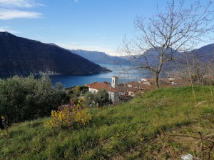 Azienda Agricola Leonardo di Elisa e Nadia Turelli