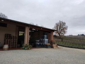 Cantina Finigeto