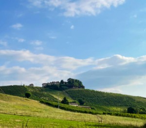 Azienda Agricola Poggio Rebasti