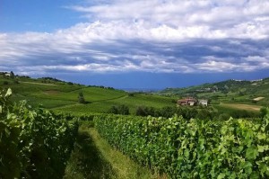 Tenuta Borgolano