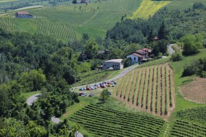 Azienda Agricola Ferrari Dario e Alberto