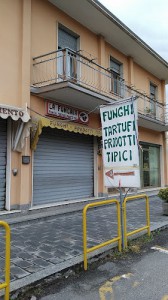 La Fungaia di Menino Luca