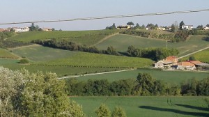 Azienda Agricola Martilde