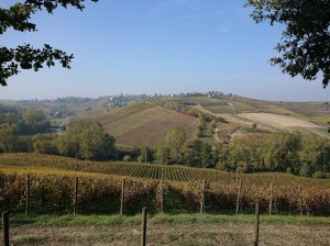 Azienda Agricola Bisi