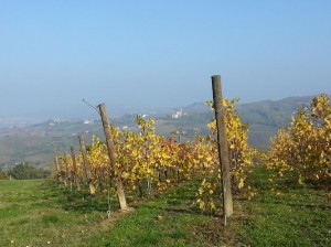 Azienda Agricola Isimbarda