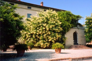 Agriturismo Lo Stagno