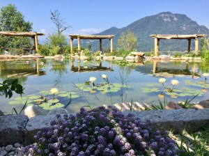 Agriturismo Il Balcone sulla Valle