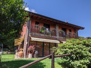 Azienda Agricola e Ristorante Il Vecchio Castagno