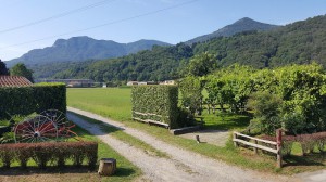 Cascina Volpi Di Castelfidardo Marzia