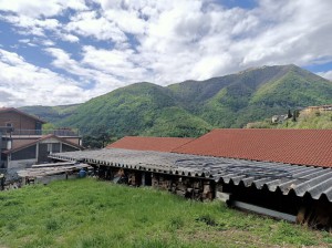 Agriturismo Il Girasole