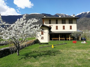 Agriturismo Fiorenza B&B