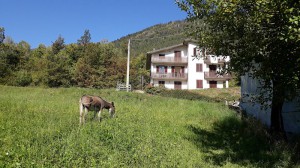 Agriturismo Da Alberta