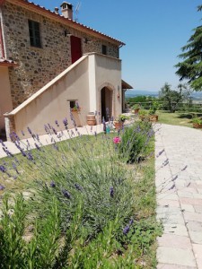 Agriturismo Casal Dell'Angeli Di Francesca Mezzoprete