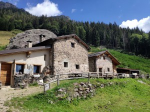 Agriturismo Ferdy d'Alpe