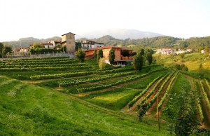 Agriturismo Il Belvedere