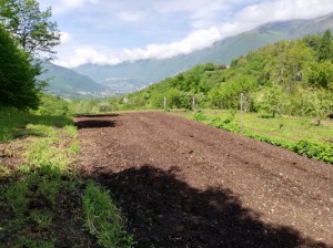 Azienda Agricola I Due Laghi