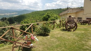 Agriturismo Ristorante Casale S.Antonio