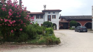 Agriturismo Il Salice Ridente Terrefini Di Bianchi Claudio Srl