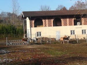 Agriturismo 