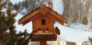 Rifugio Sora di Fulvio Casari Snc