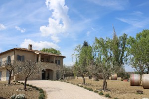 AGRITURISMO QUI E ORA