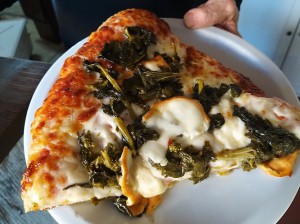 TORTUGA pizzeria e gelateria