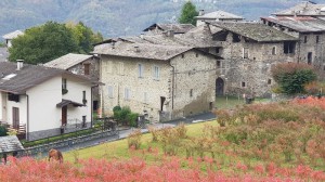 Agriturismo San Tommaso