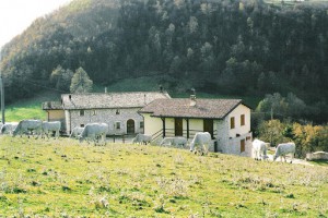 Azienda agrituristica Colle del Capitano