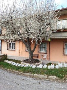 B&B Il Vigneto