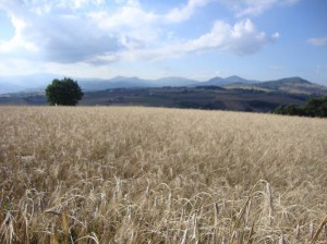 Azienda Terra Madre