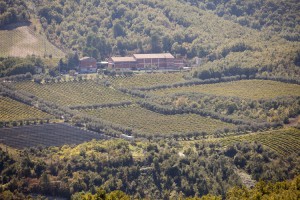 Azienda Agricola Colle Sereno