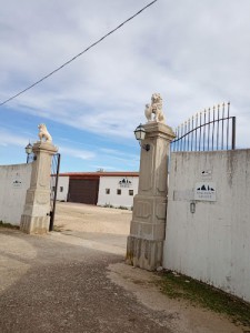 Cantine Tenimenti Grieco