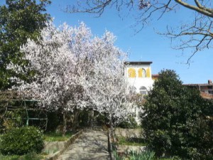 Il Giardino dei Semplici