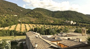 Palazzo Sant'Angelo Boutique B&B ... a special place to stay in Umbria ... Cooking Classes &Truffle Hunting