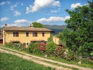 AGRITURISMO LA CASA DI GELSOMINO