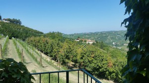 Azienda Agricola Cascina Flino