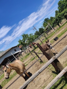 Azienda Agrituristica Cascina Nuova