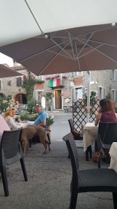 Ristorante al Biancospino - Vineria