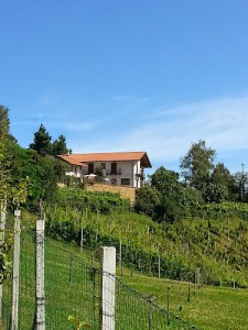 Agriturismo la Pineta