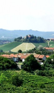 Agriturismo La Briccola